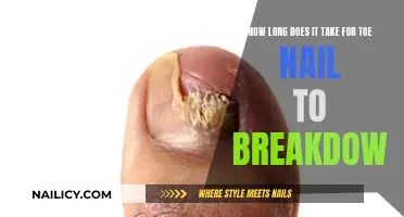 Toe Nail Breakdown: Understanding the Process and Timeline