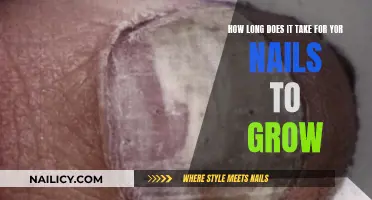 Nail Growth: How Long Does it Take?