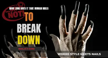 Human Nails: Breakdown and Decomposition Timeline