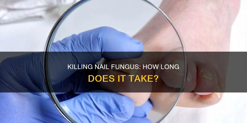 how long does it take medication to kill nail fungus