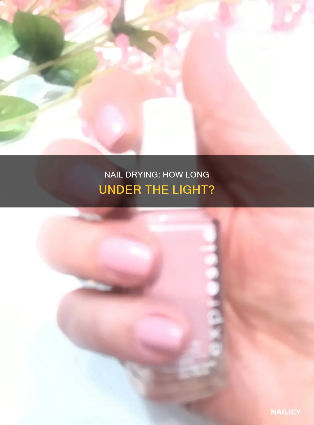 how long does it take nails to dry under light