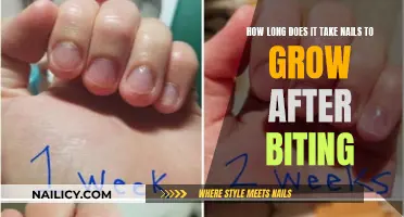 Regrowing Nails: The Time It Takes to Recover from Biting