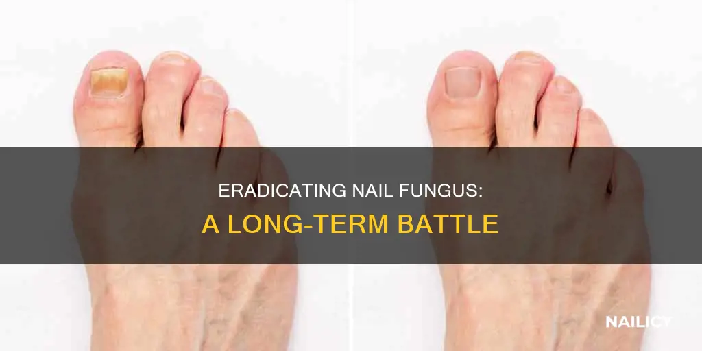 how long does it take to clear nail fungus
