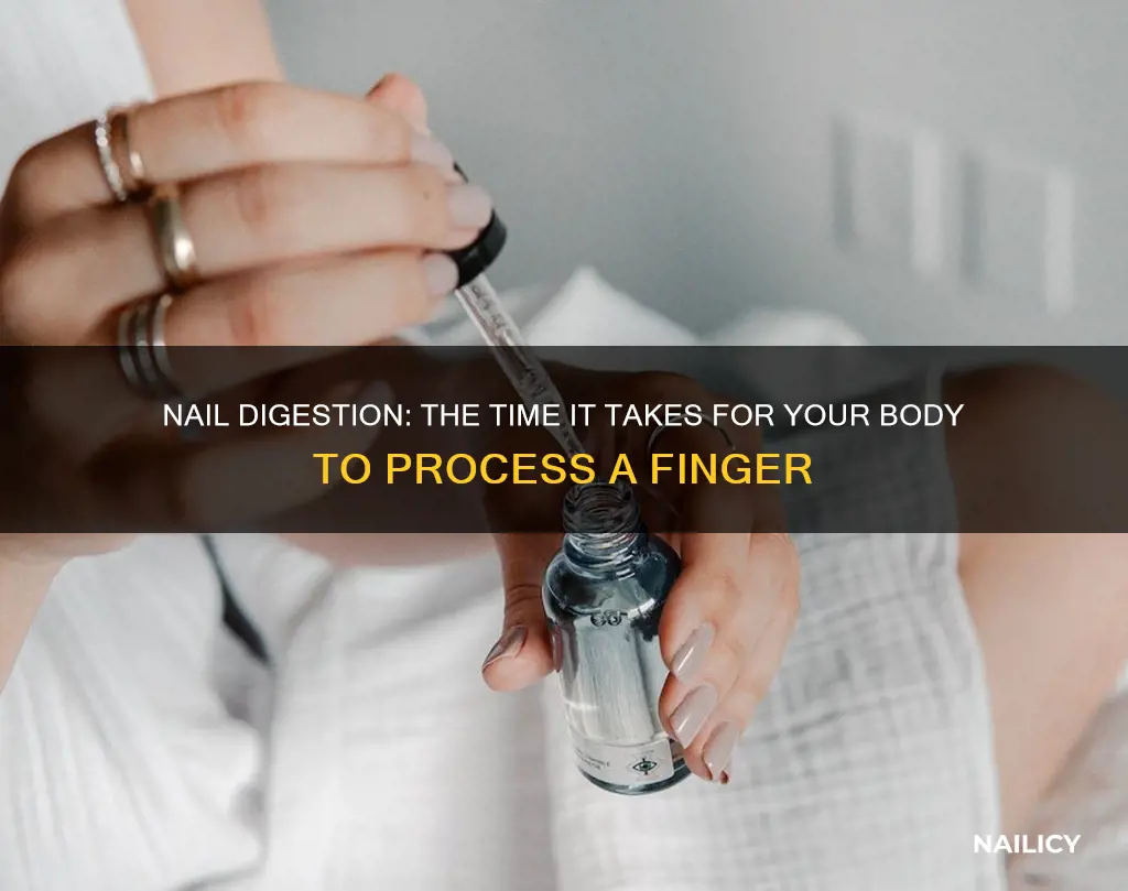 how long does it take to digest a finger nail