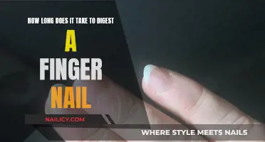 The Mystery of Nail Digestion: How Long Does It Take?