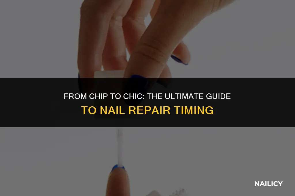 how long does it take to get a new nail
