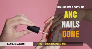 Timeless Elegance: The Complete Guide to ANC Nail Art Duration