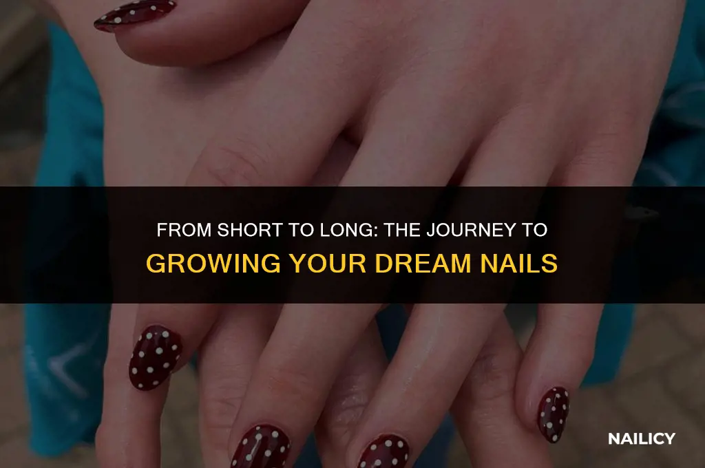 how long does it take to get long nails