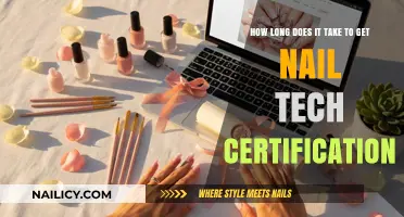 From Novice to Pro: The Journey to Nail Tech Certification
