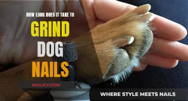 The Perfect Grind: Dog Nails in 15 Minutes