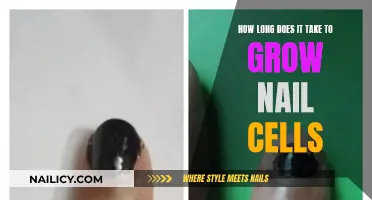 Growing Nails: How Long Does it Take?
