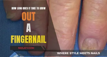 Growing Fingernails: How Long Does It Take?