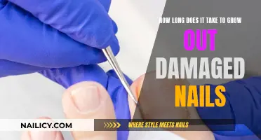 Repairing Damaged Nails: The Time It Takes to Recover