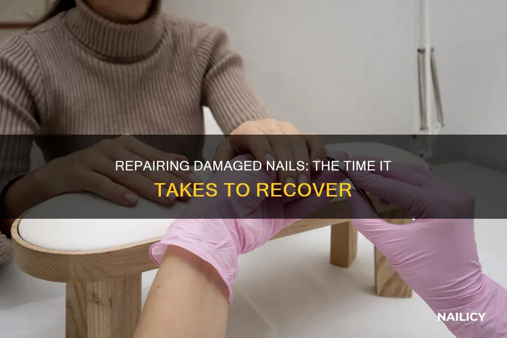 how long does it take to grow out damaged nails