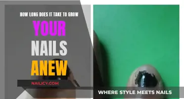 Growing Nails: The Time It Takes to Get New Nails