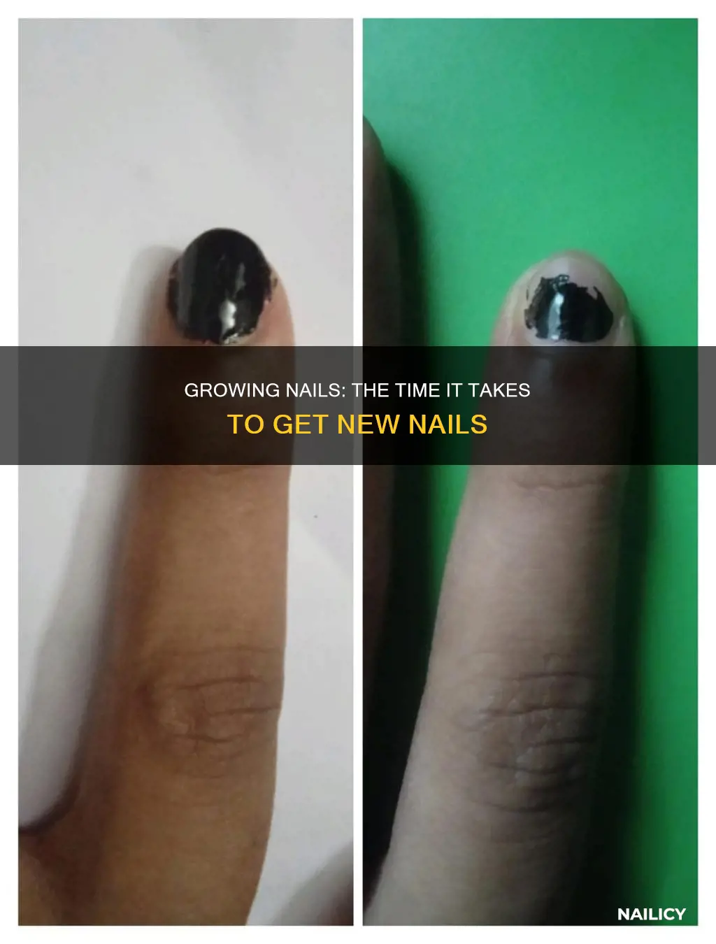 how long does it take to grow your nails anew