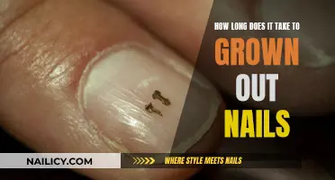 Growing Nails: How Long Does It Actually Take?