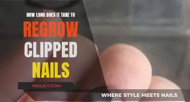 Regrowing Nails: How Long Before They're Back?