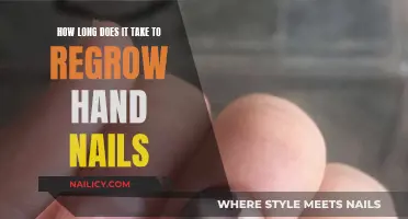 Regrowing Hand Nails: How Long Does it Take?