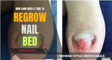 Regrowing Nail Beds: The Timeline for Recovery