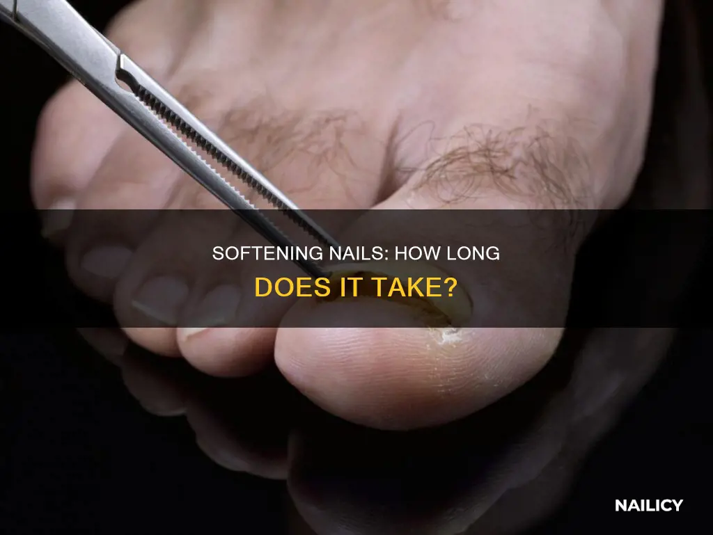 how long does it take to soften nails