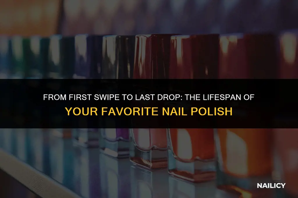 how long does it take to use up nail polish
