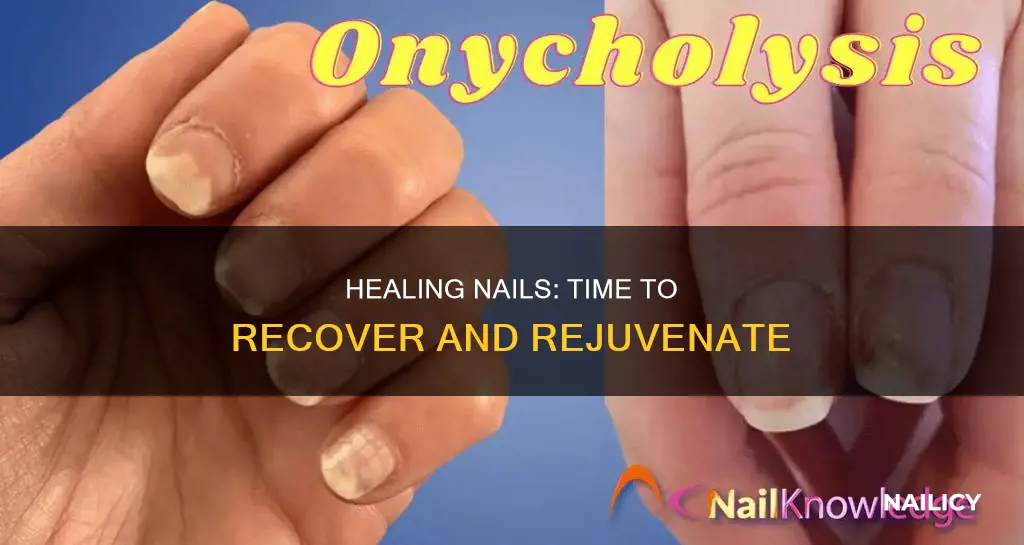 how long does it take your nail to heal