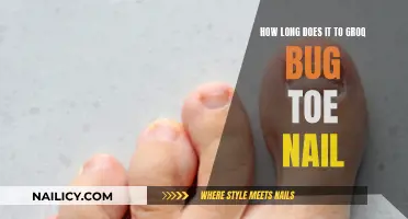 Growing Big Toe Nails: How Long Does It Take?