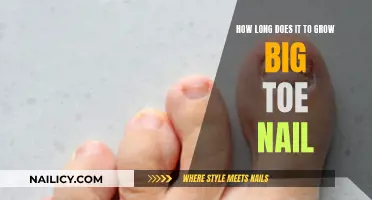 Big Toe Nail Growth: How Long Does it Take?
