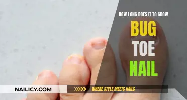 Big Toe Nail Growth: How Long Does It Take?