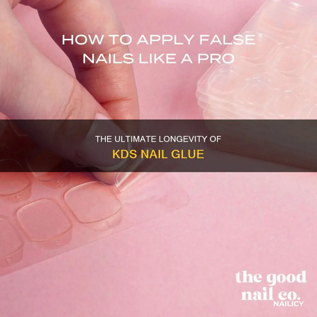 how long does kds nail glue last