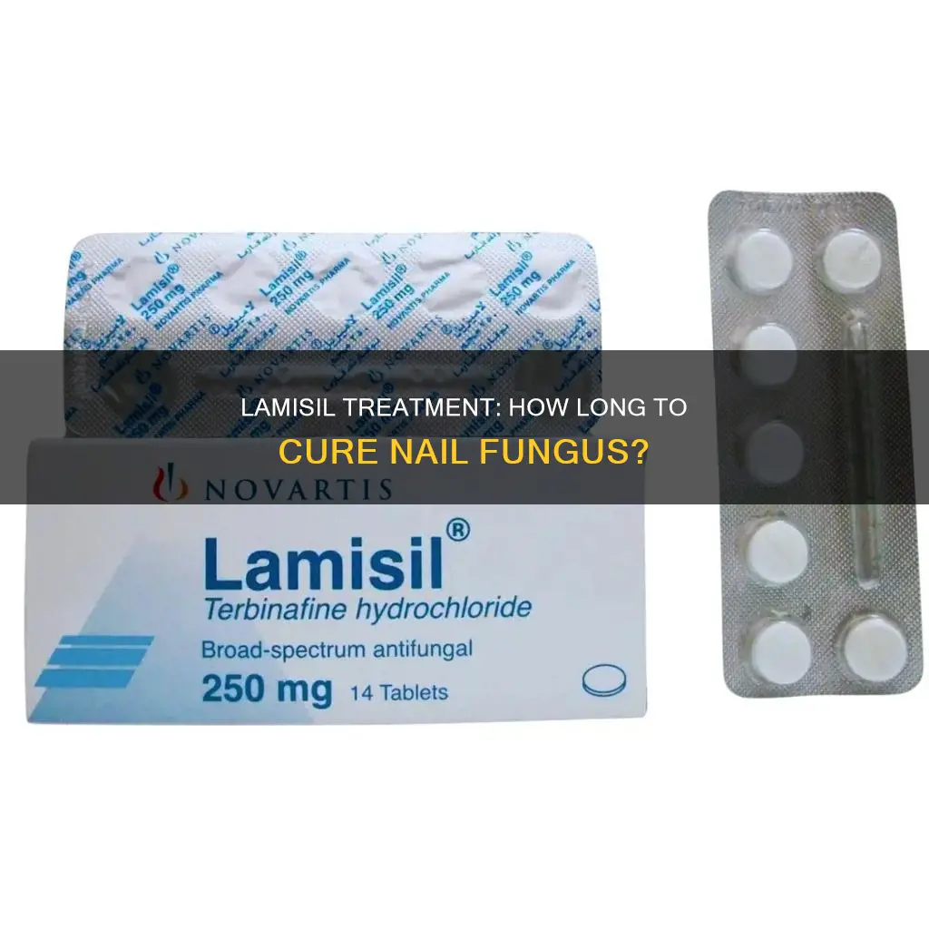 how long does lamisil take to work on nail fungus