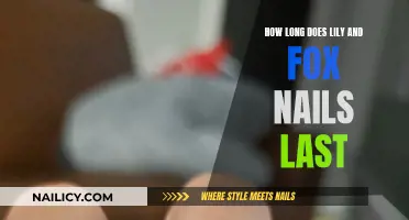 Lily and Fox Nails: How Long Do They Last?