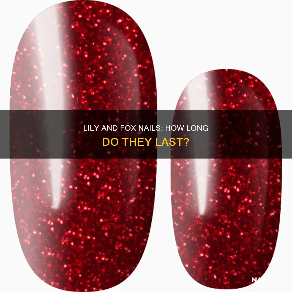 how long does lily and fox nails last