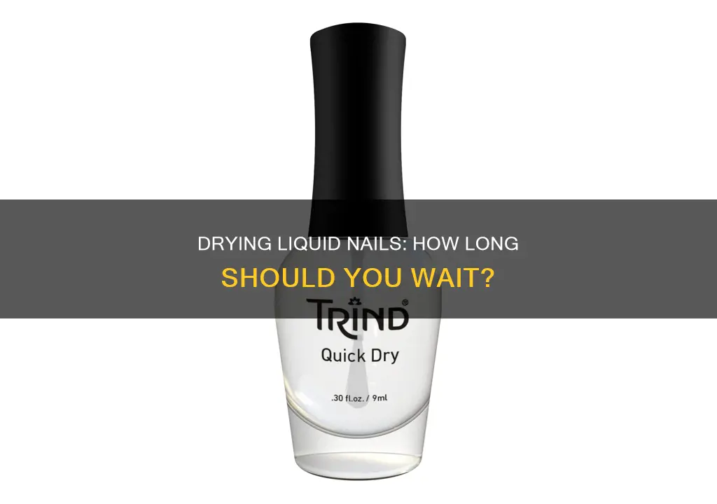 how long does liqid nails take to dry