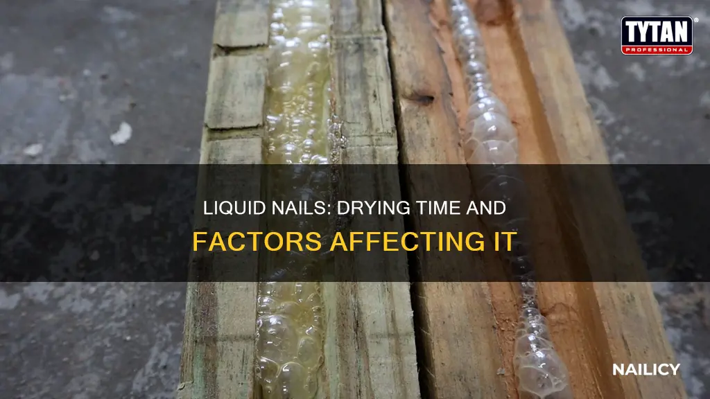 how long does liquid nails have to dr