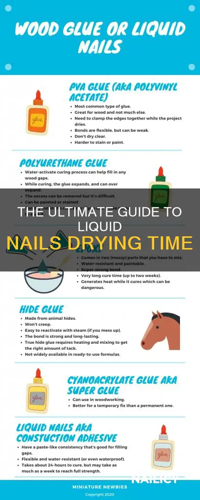 how long does liquid nails take to cure