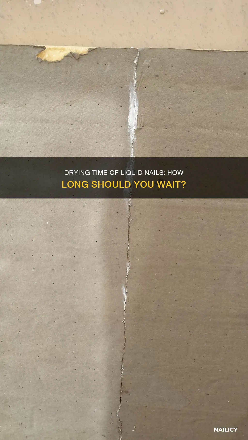 how long does liquid nails take to set