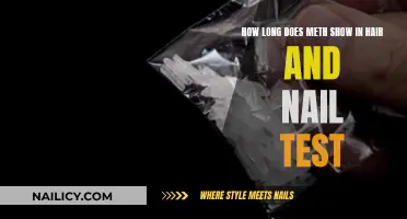 Hair and Nail Testing: Meth Detection Times