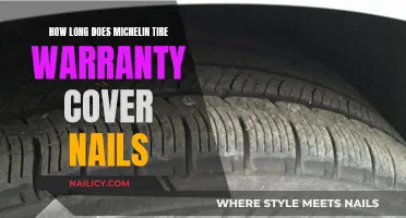 Michelin Tire Warranty: Nail Protection Explained