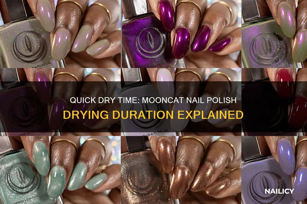 how long does mooncat nail polish take to dry