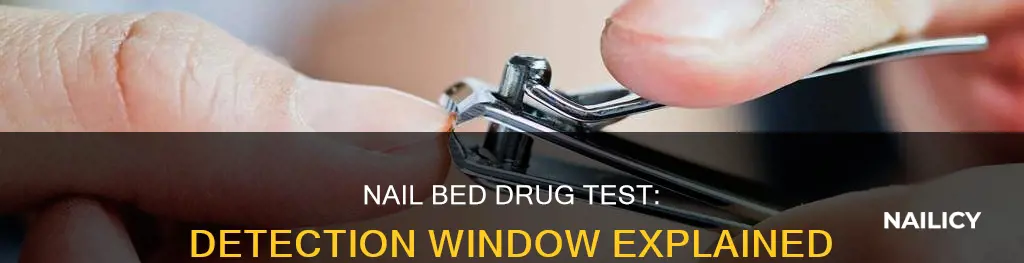 how long does nail bed drug test go back