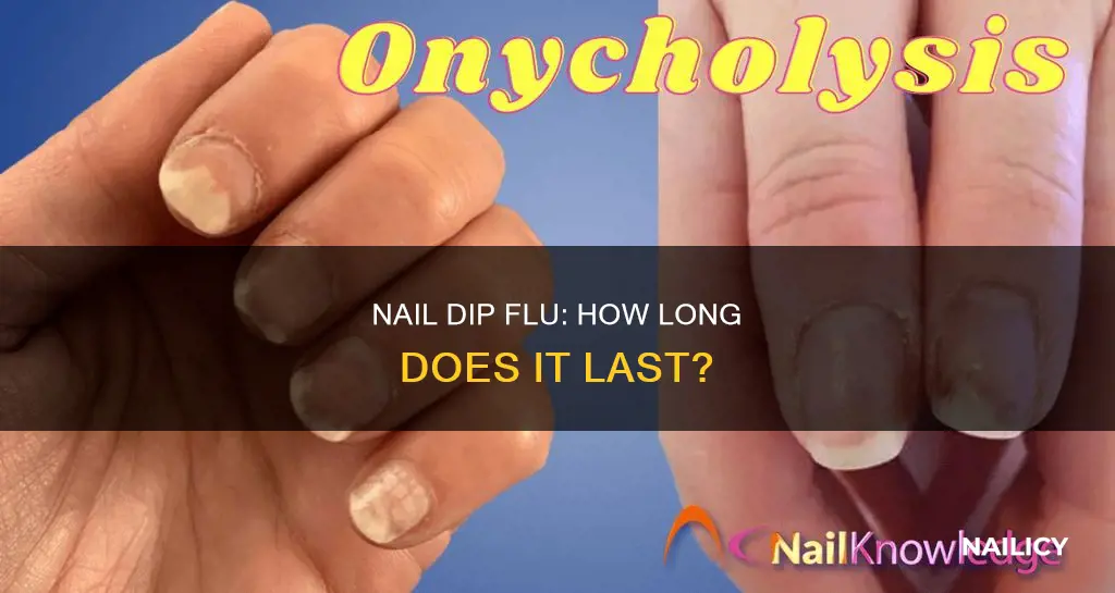 how long does nail dip flu last