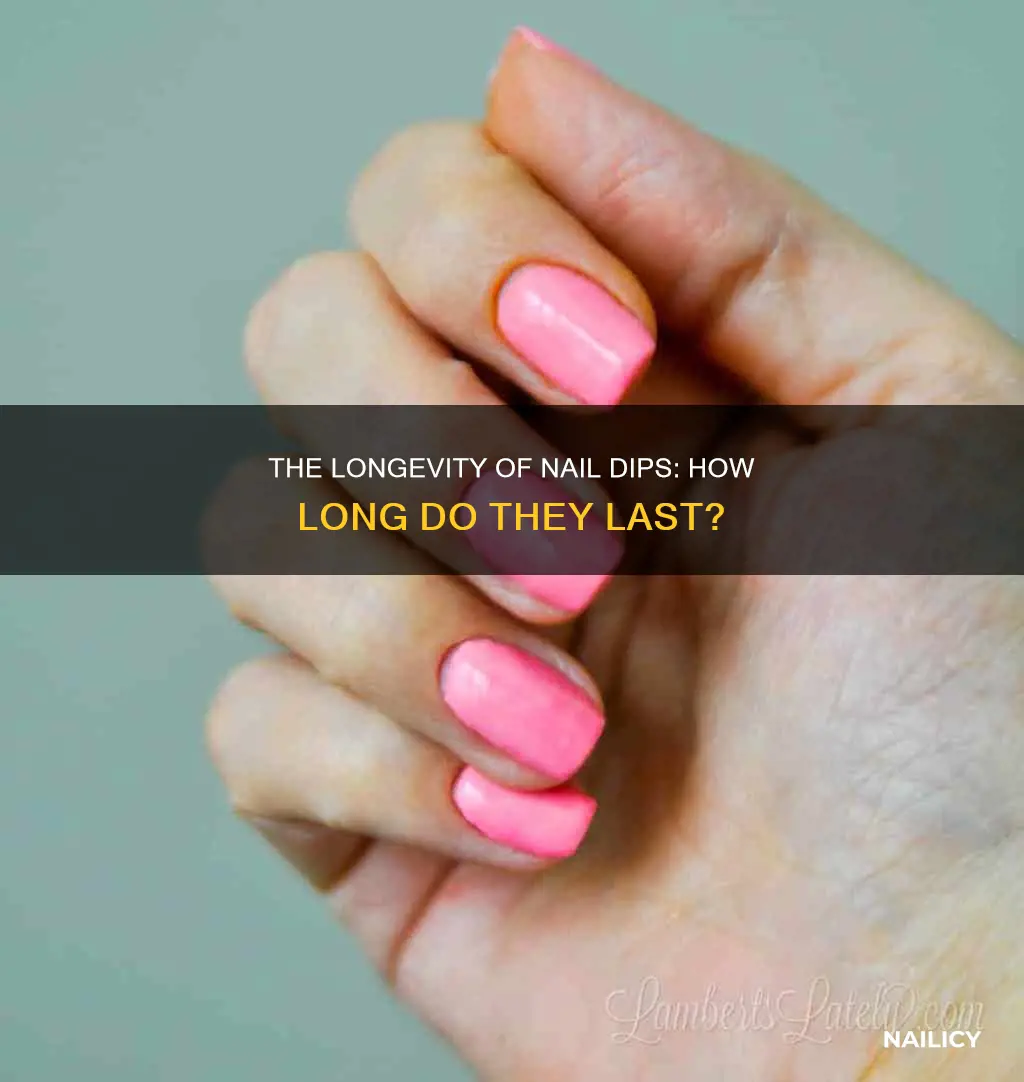 how long does nail dip last