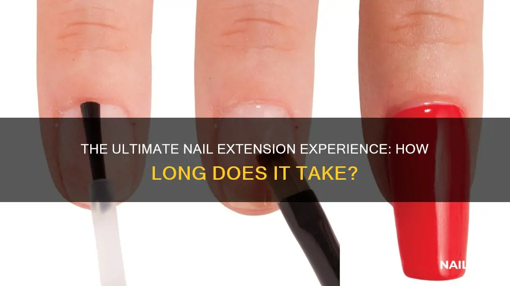 how long does nail extensions take