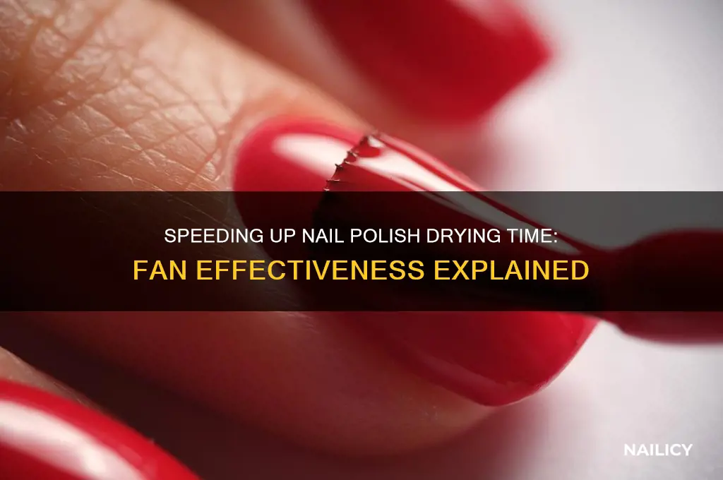 how long does nail polish take to dry with fan