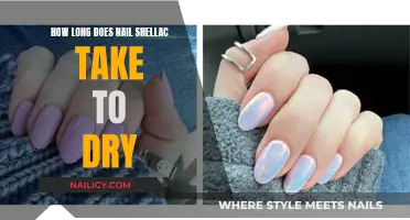 Nail Shellac Drying Time: How Long Does it Take?