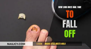 The Nail's Journey: Falling Off and Regrowth