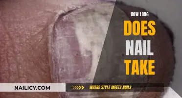 Nail Growth: How Long Does it Take?