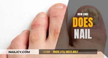 The Ultimate Guide to Nail Growth